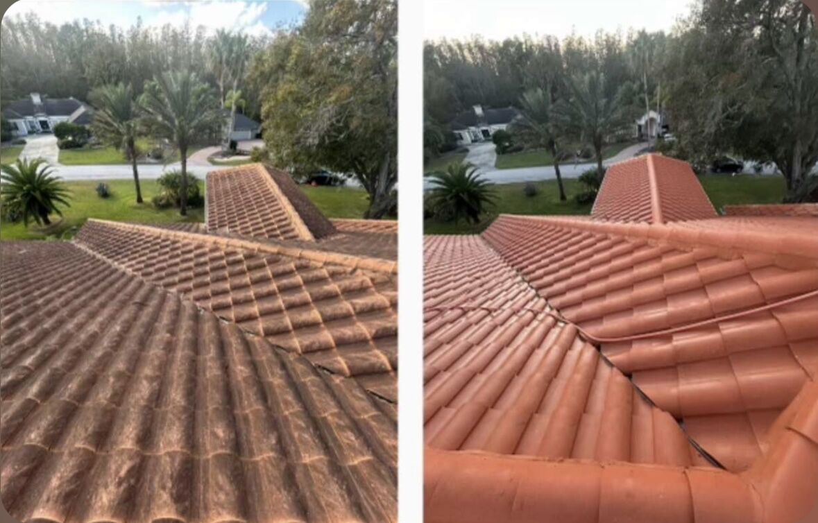 Roof soft washing before and after — black algae streaks removed from shingles in Groveland, FL
